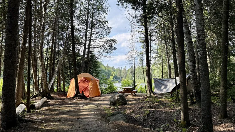 Photo d'une forêt avec une tente