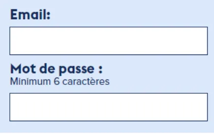 Capture d'écran d'un formulaire de connexion avec des champs mail et mot de passe