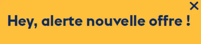 pop-up notification "Hey, alerte nouvelle offre !